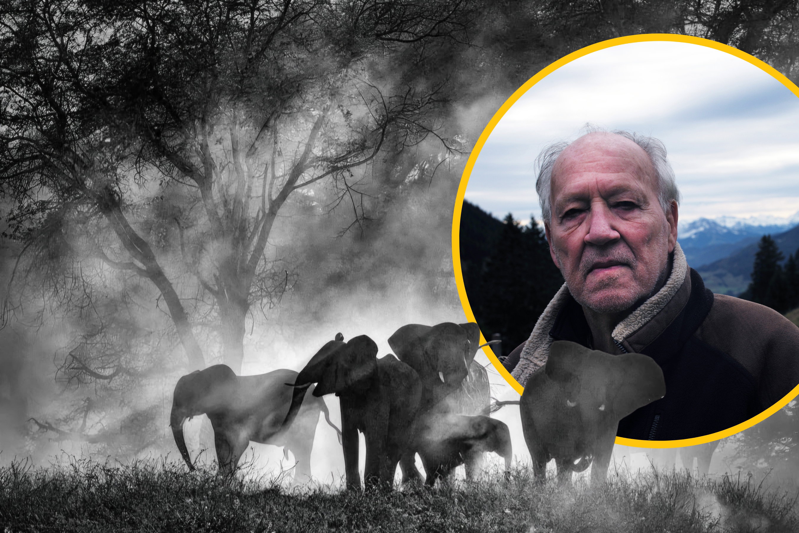 Legendarny reżyser Werner Herzog rusza na koniec świata. „Sny o słoniach” możesz zobaczyć przedpremierowo
