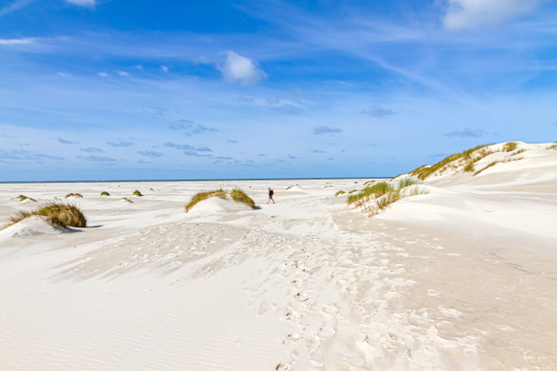 Kniepsand na wyspie Amrum w Niemczech to największa plaża Europy.