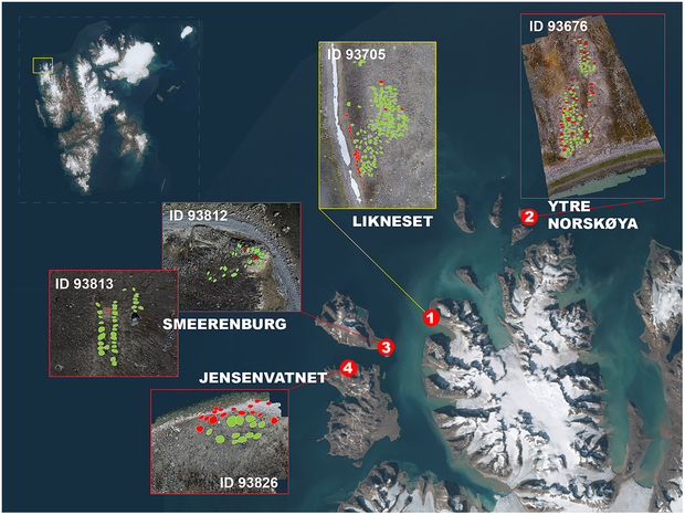 spitbergen zagadka mapa