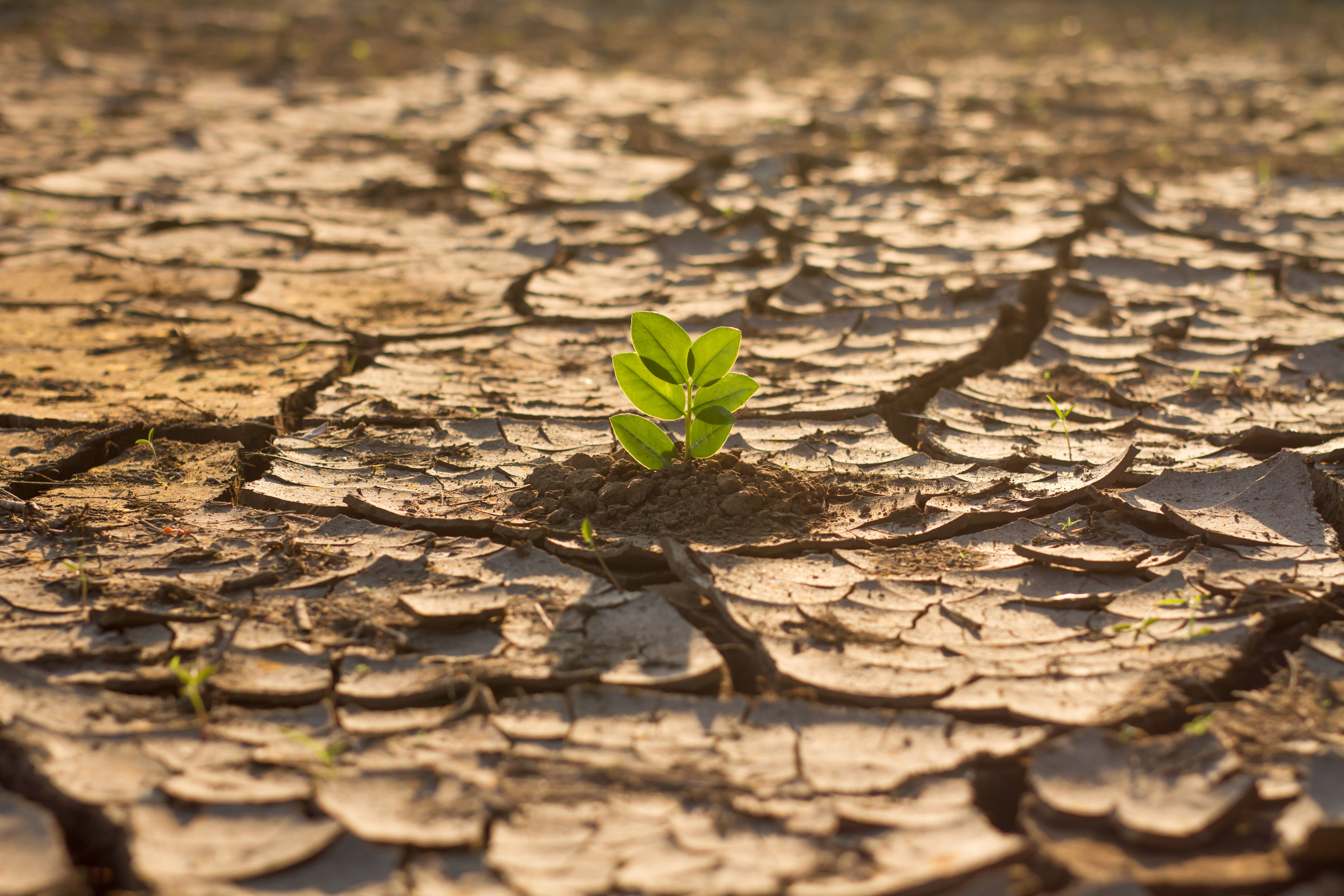 Najgorszy scenariusz zmian klimatycznych odwołany. Nasze działania przynoszą skutek