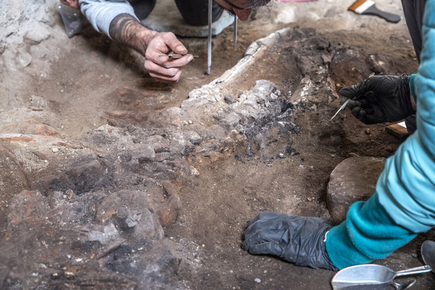 Kości koniowatych odkryto dzięki skrupulatnej pracy archeologów