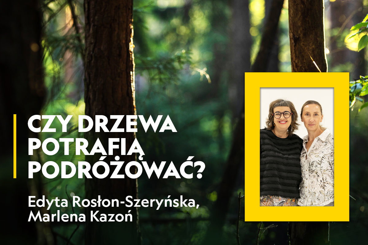 podcast drzewa