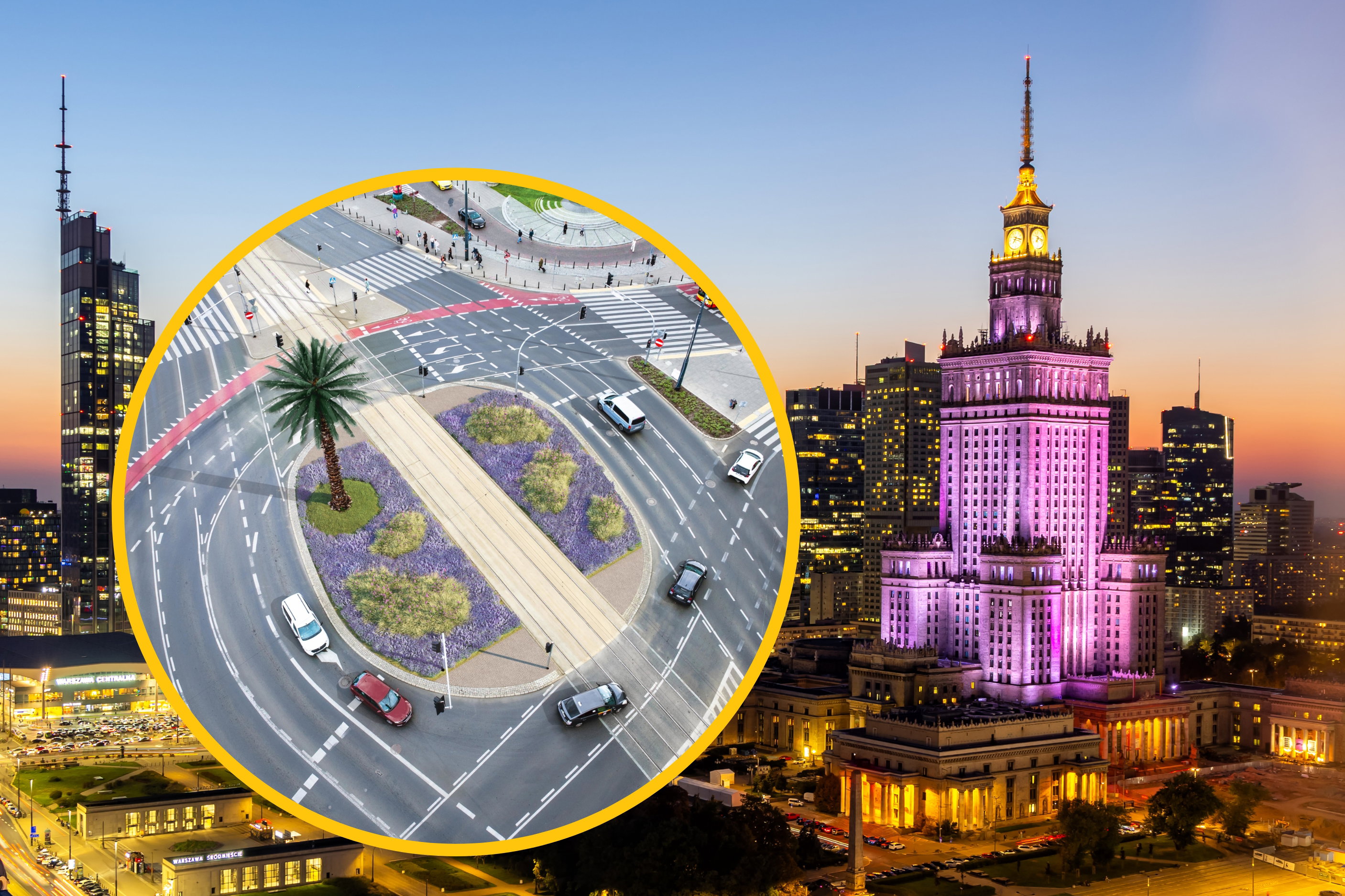 Warszawska palma
