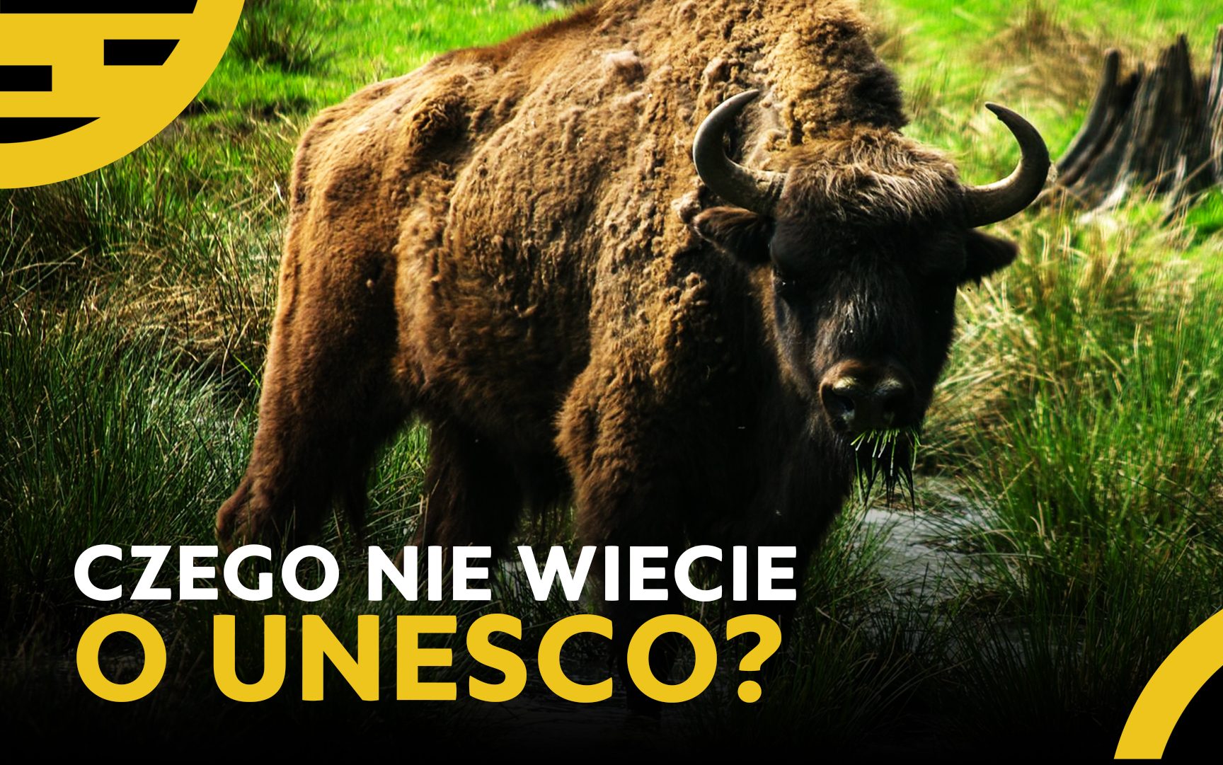 unesco1