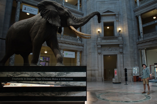 GhostElephants_UHD_03