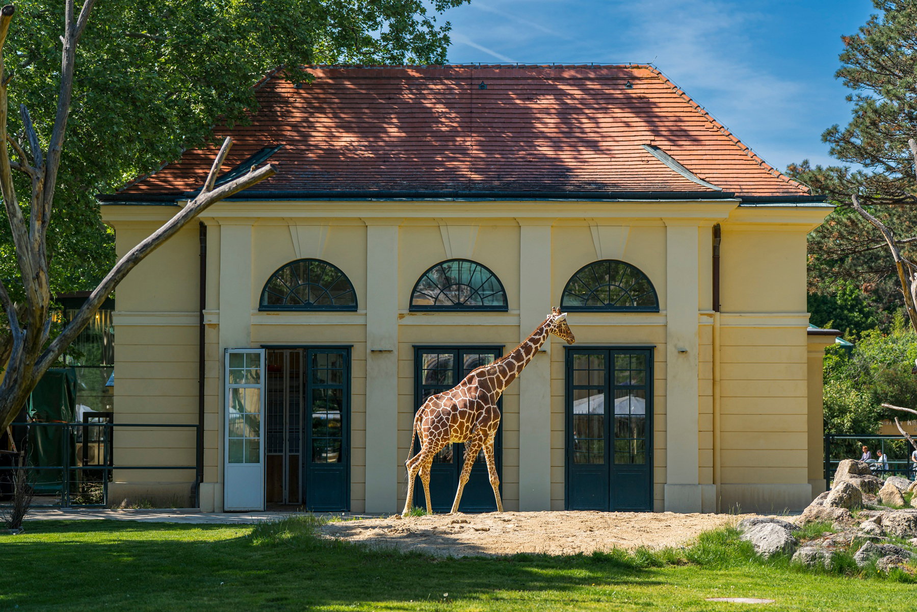 Zoo w Wiedniu jest światowym centrum ochrony zwierząt