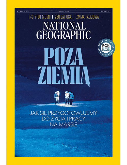 NG-2607-500x649