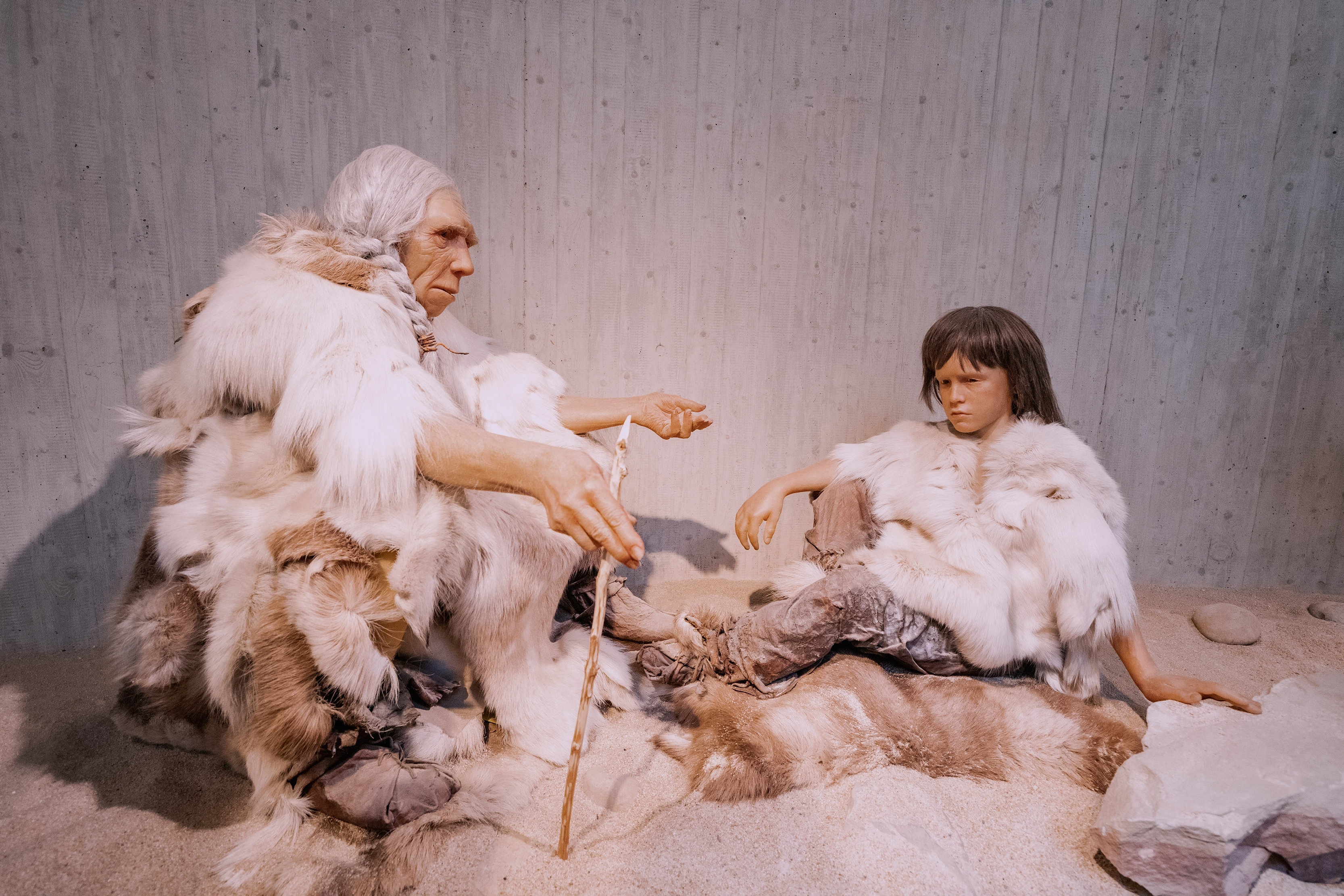 Neandertalskie dzieci