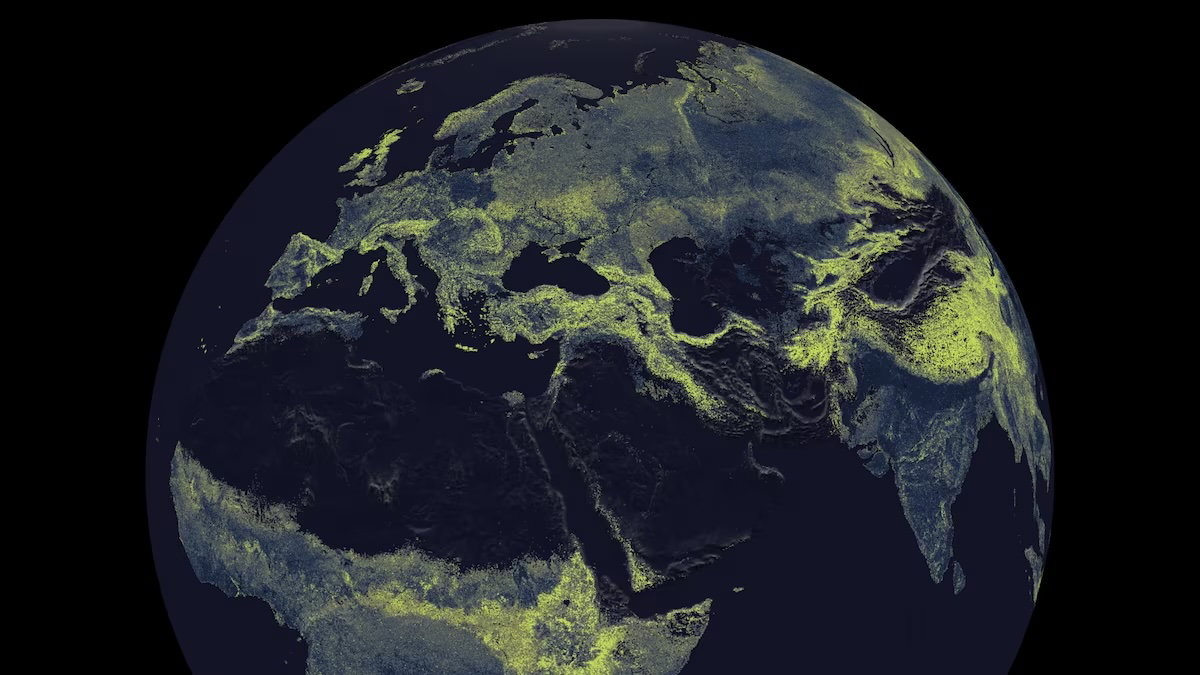 globalna mapa grzybni