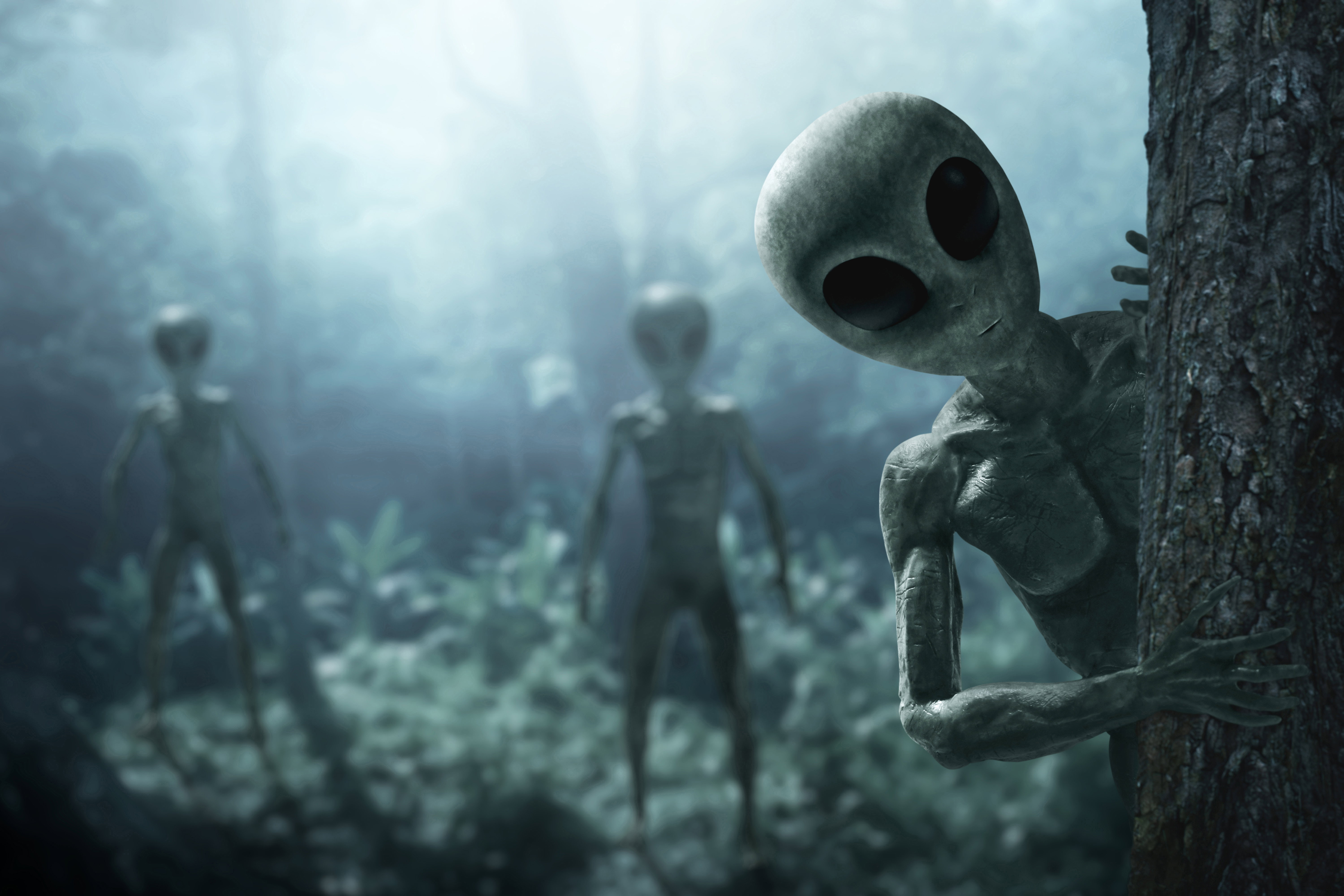 Co zjedliby kosmici po wylądowaniu na Ziemi? Naukowcy wyjaśniają, dlaczego UFO interesuje się krowami