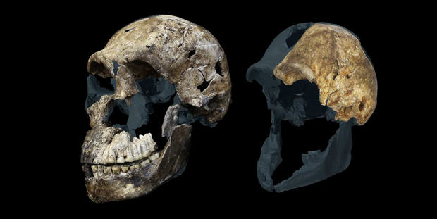 homo-naledi-2