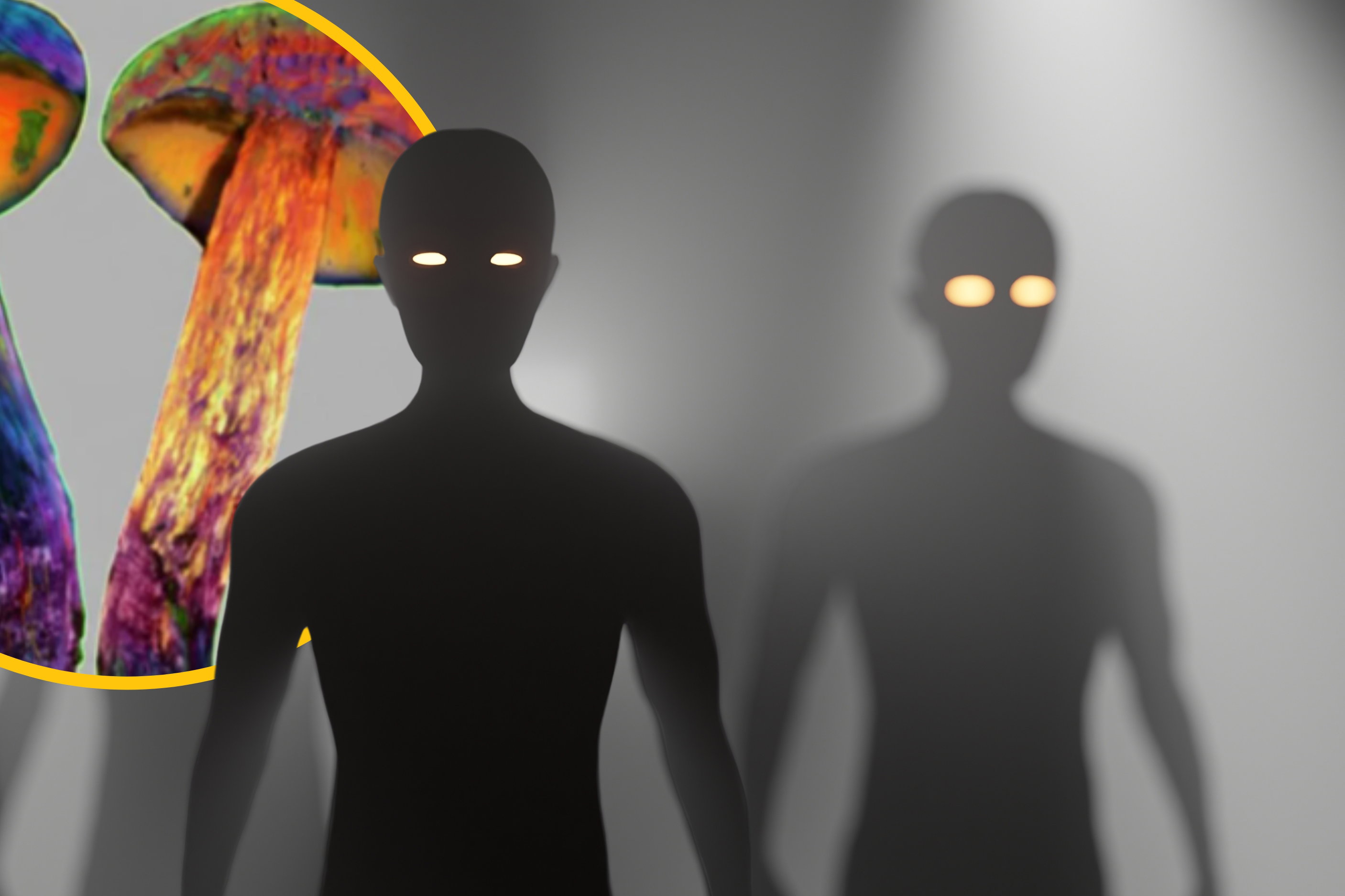 Po zjedzeniu tego grzyba zaczniesz widzieć „malutkich ludzi”. A nawet nie zawiera psychodelików