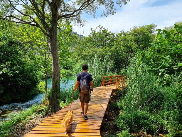 Park Narodowy Krka jest jedną z największych atrakcji Chorwacji. Zachwyca nie tylko wspaniałą przyrodą (fot. Shutterstock)