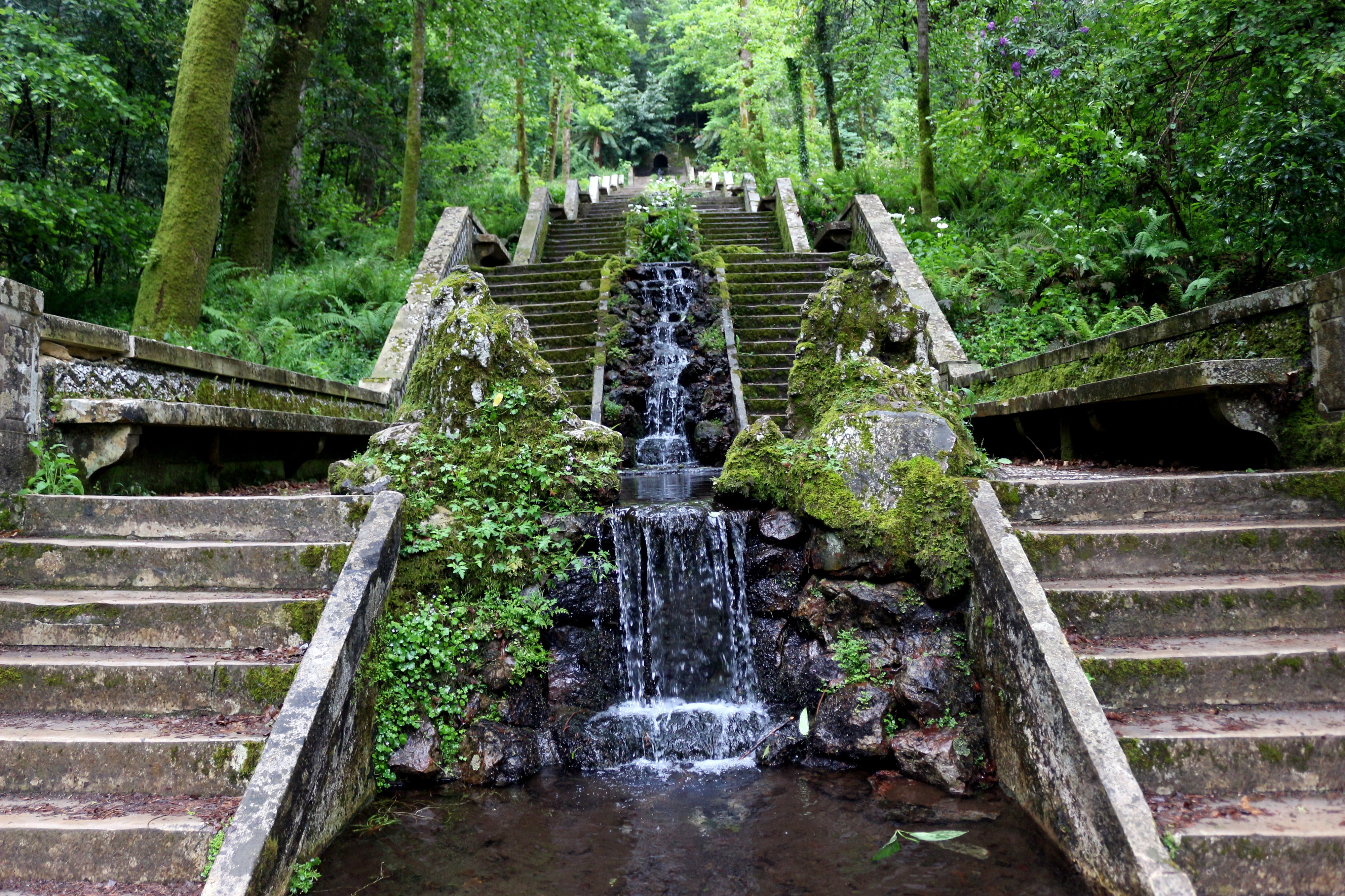 Las Narodowy Buçaco