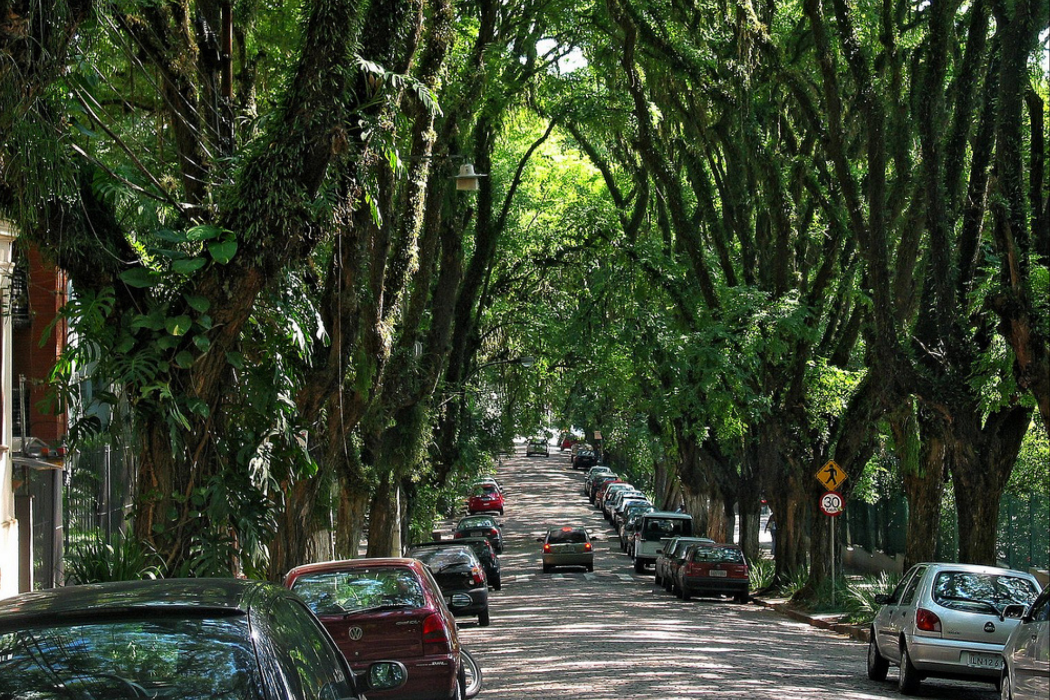 Rua Gonçalo de Carvalho