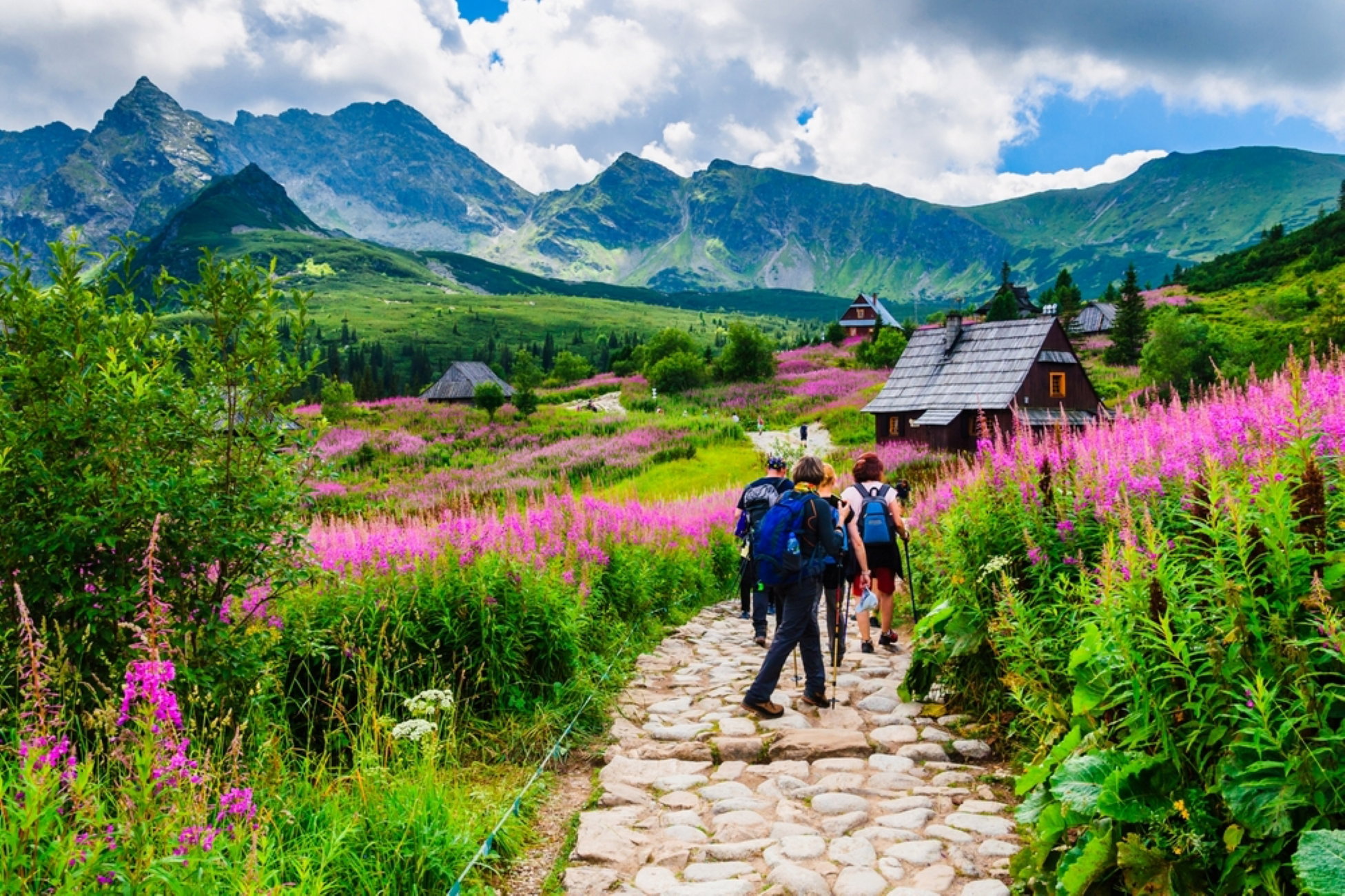 tatry
