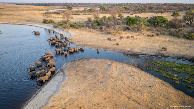 angola safari
