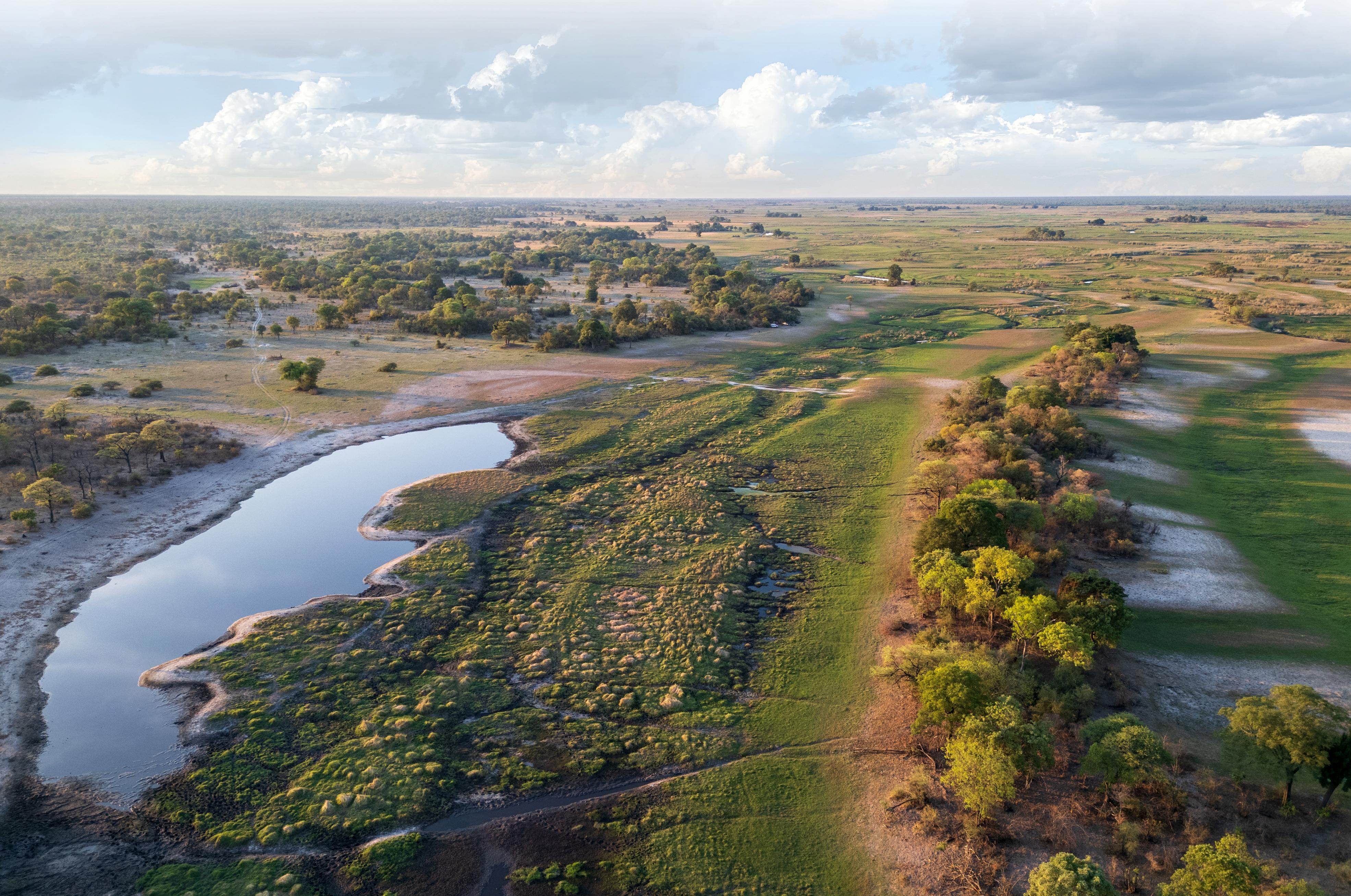 angola safari 1
