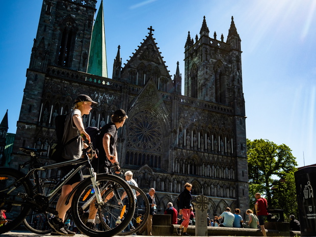 katedra w trondheim