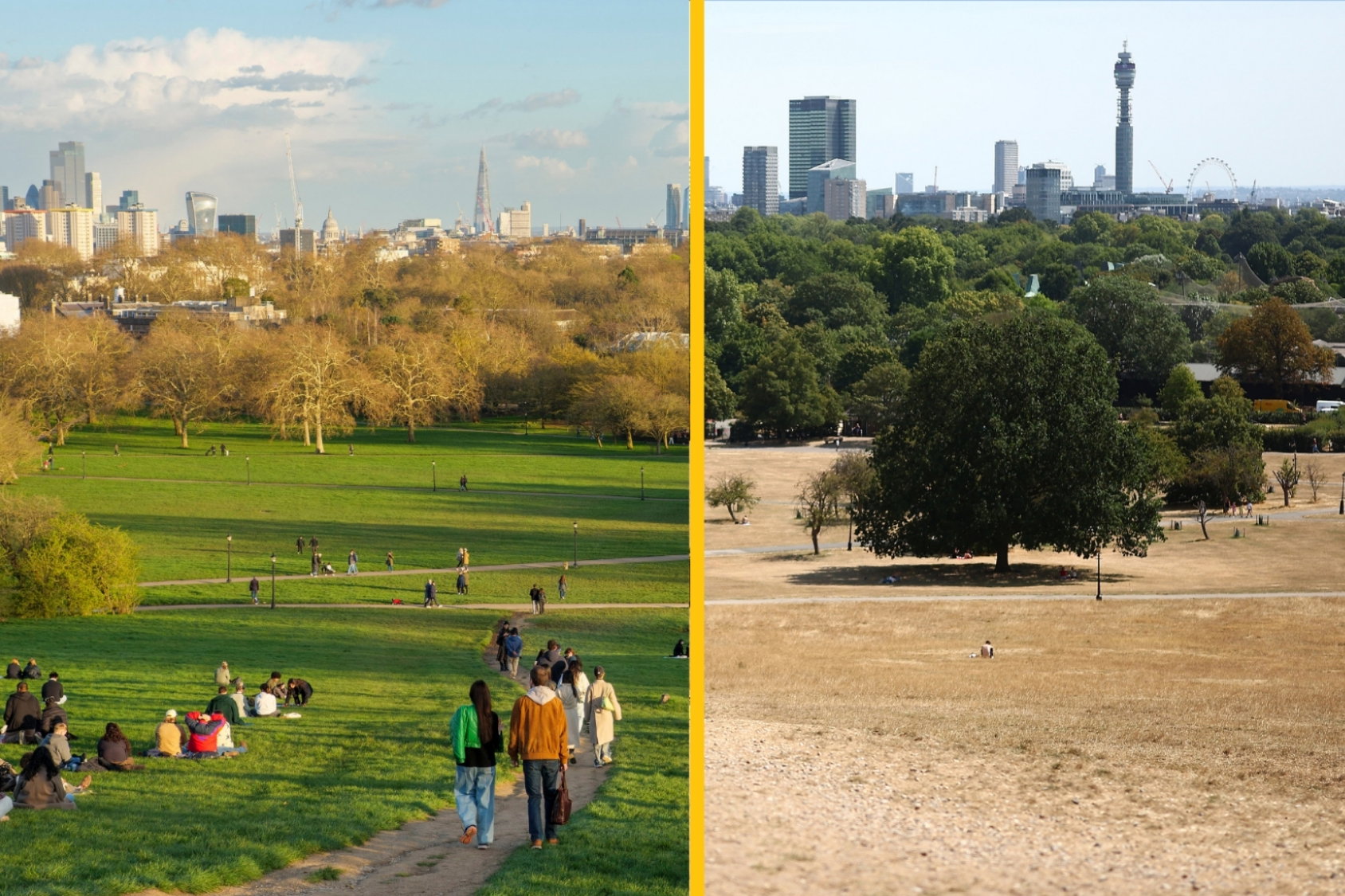primrose hill