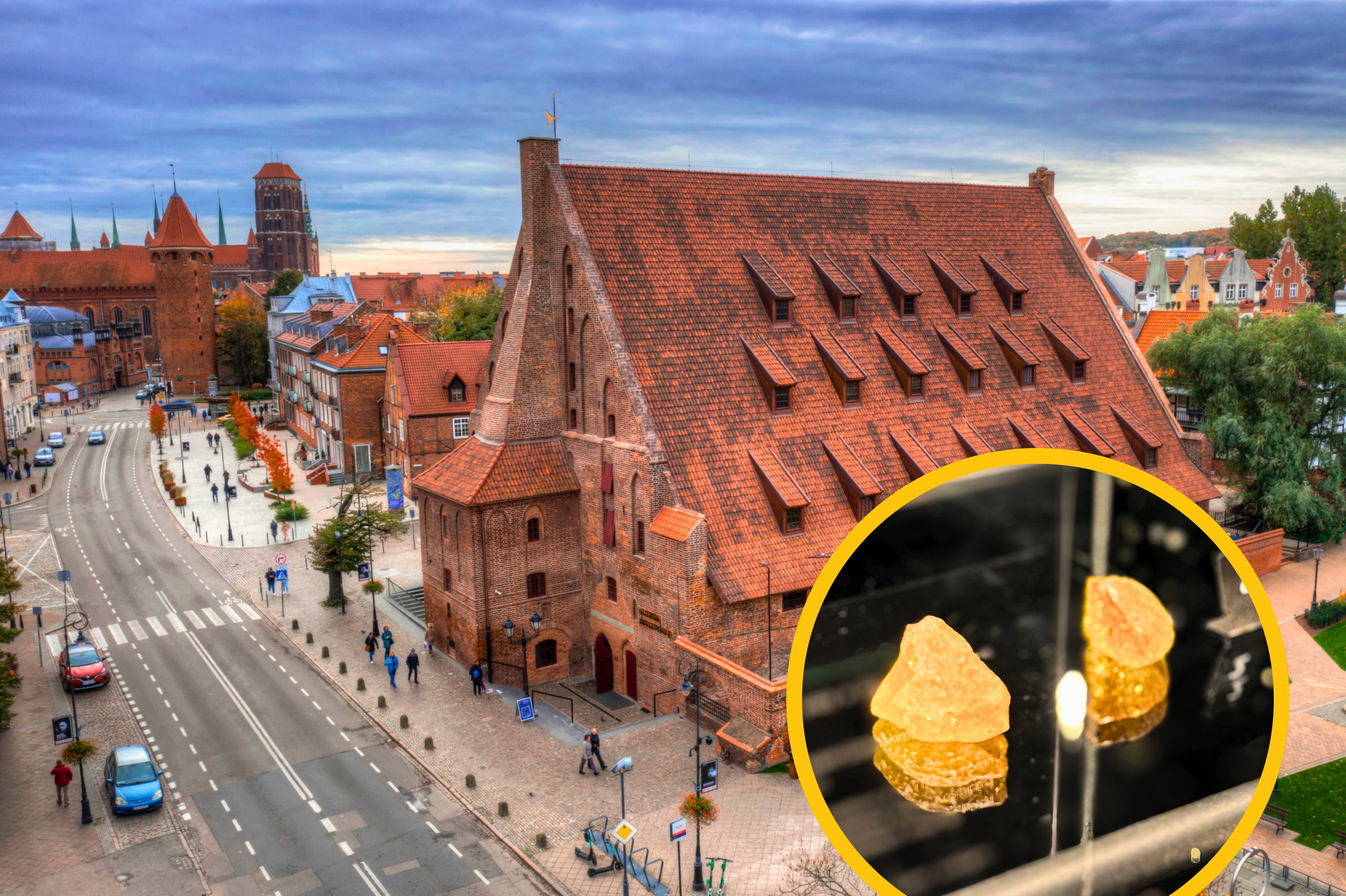 Muzeum Bursztynu w Gdańsku. Jakie eksponaty warto zobaczyć?