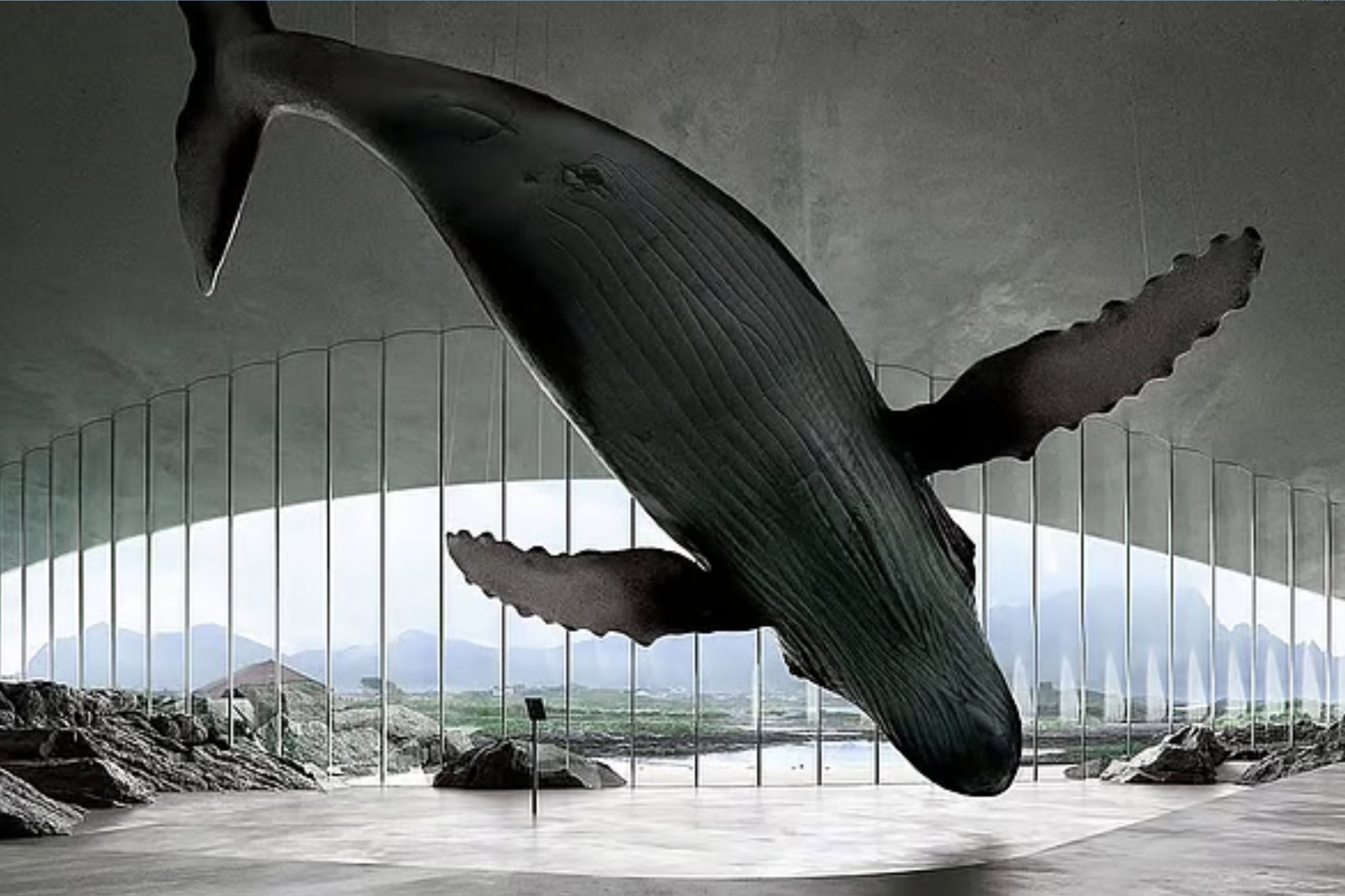 the whale andoya norwegia