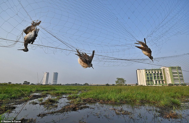 ambush-in-the-sky-abhijit-addya-ffb6e75