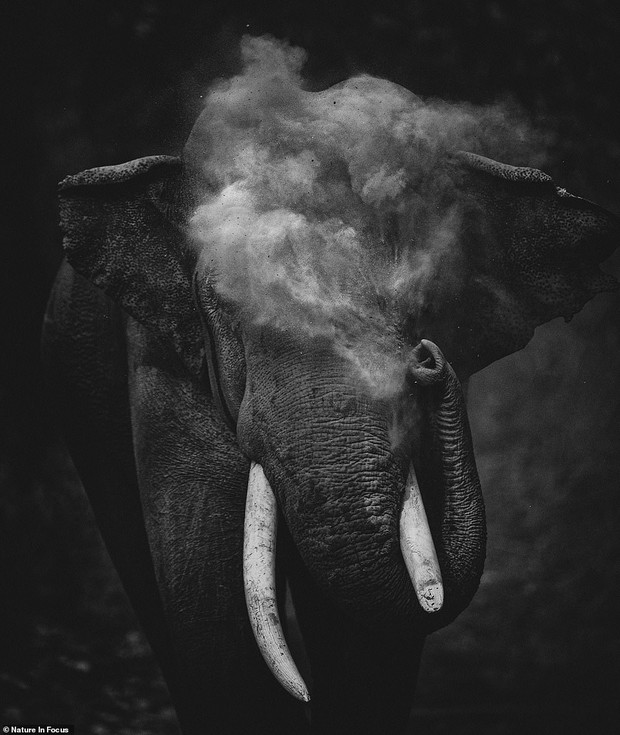 dust-to-dust-sitara-karthikeyan-2f34cc1