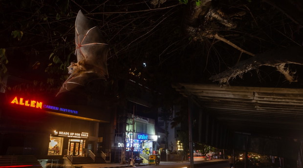 Yashpal Rathore, The Dark Night