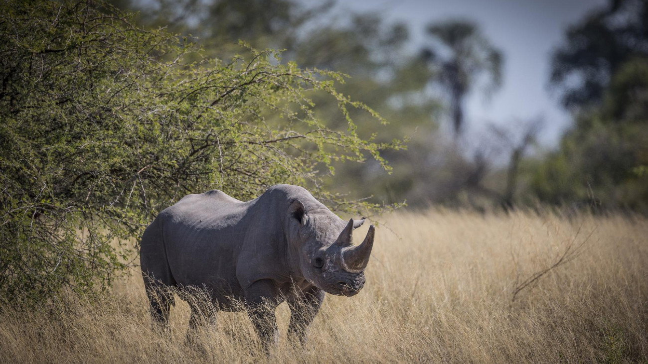 Botswana