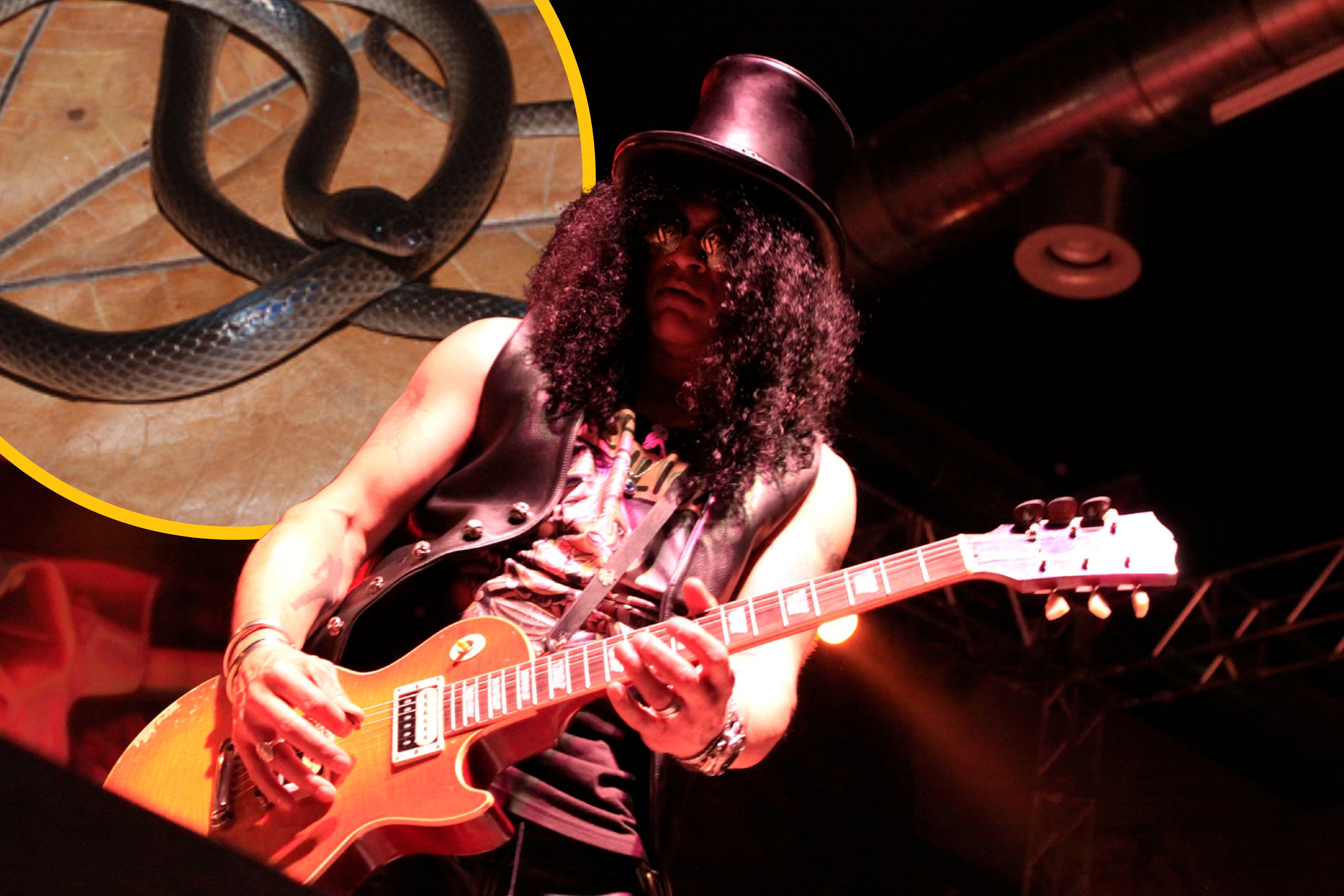 To najbardziej rockandrollowy wąż świata. Nowo odkryty gatunek nazwano na cześć Slasha z Guns N' Roses