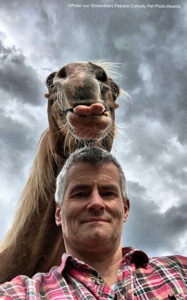 Comedy Pet Photo Awards 2020