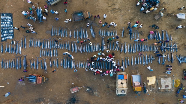 Empty seas and crowded shores by Srikanth Mannepuri / I miejsce / SERIES