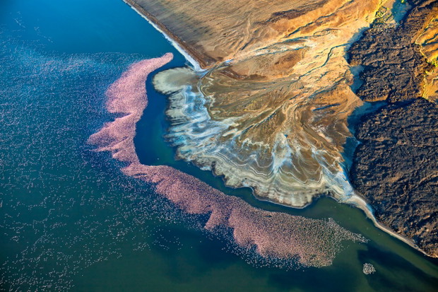 Flamingos at Lake Logipi by Martin Harvey / II miejsce / NATURE