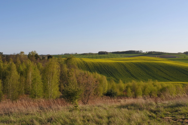 Wzgórza Trzebnickie