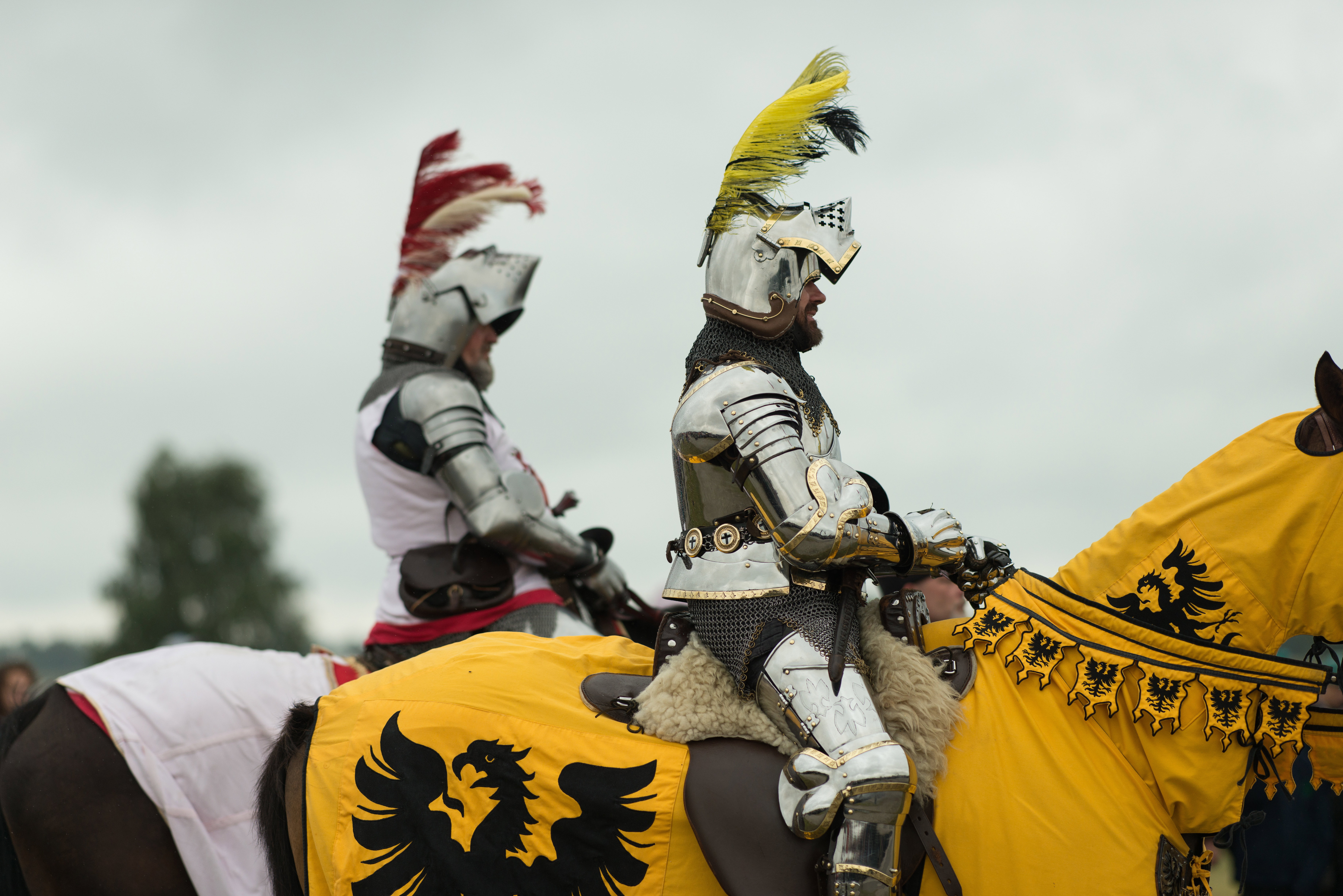 Gdzie zniknęli rycerze spod Grunwaldu? Archeolodzy właśnie ruszyli na pole bitwy, by rozwiązać wielką zagadkę