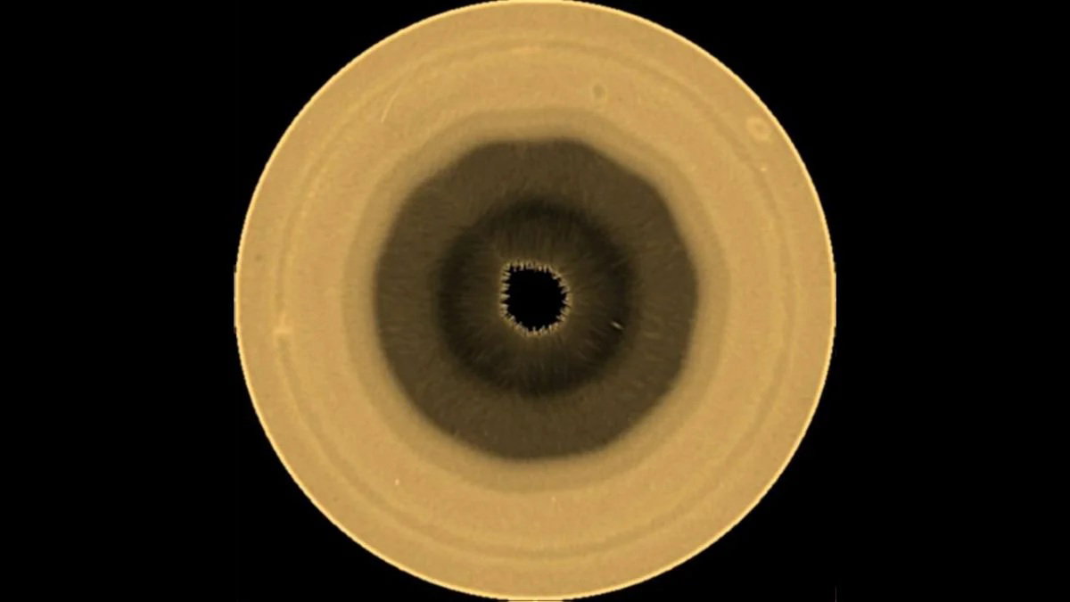saturn-dziesieciokat