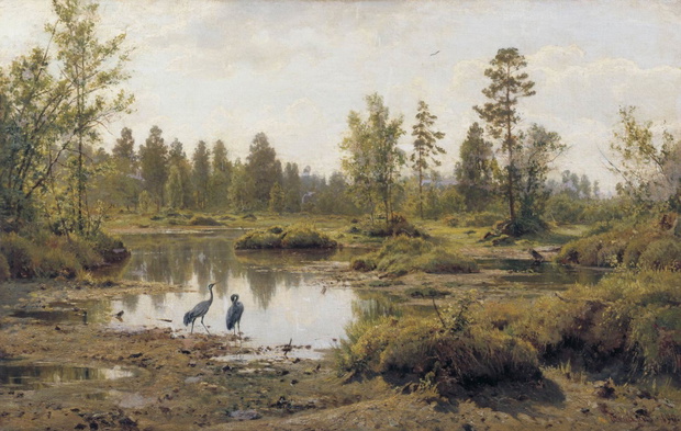 szyszkin