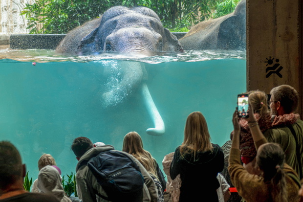 Orientarium ZOO Łódź