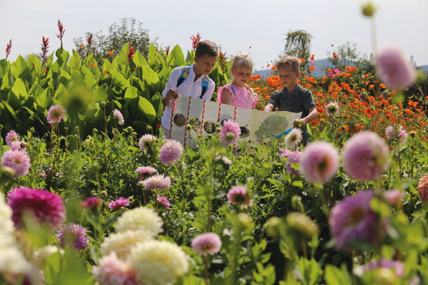 Ogrod Botaniczny w Kielcach