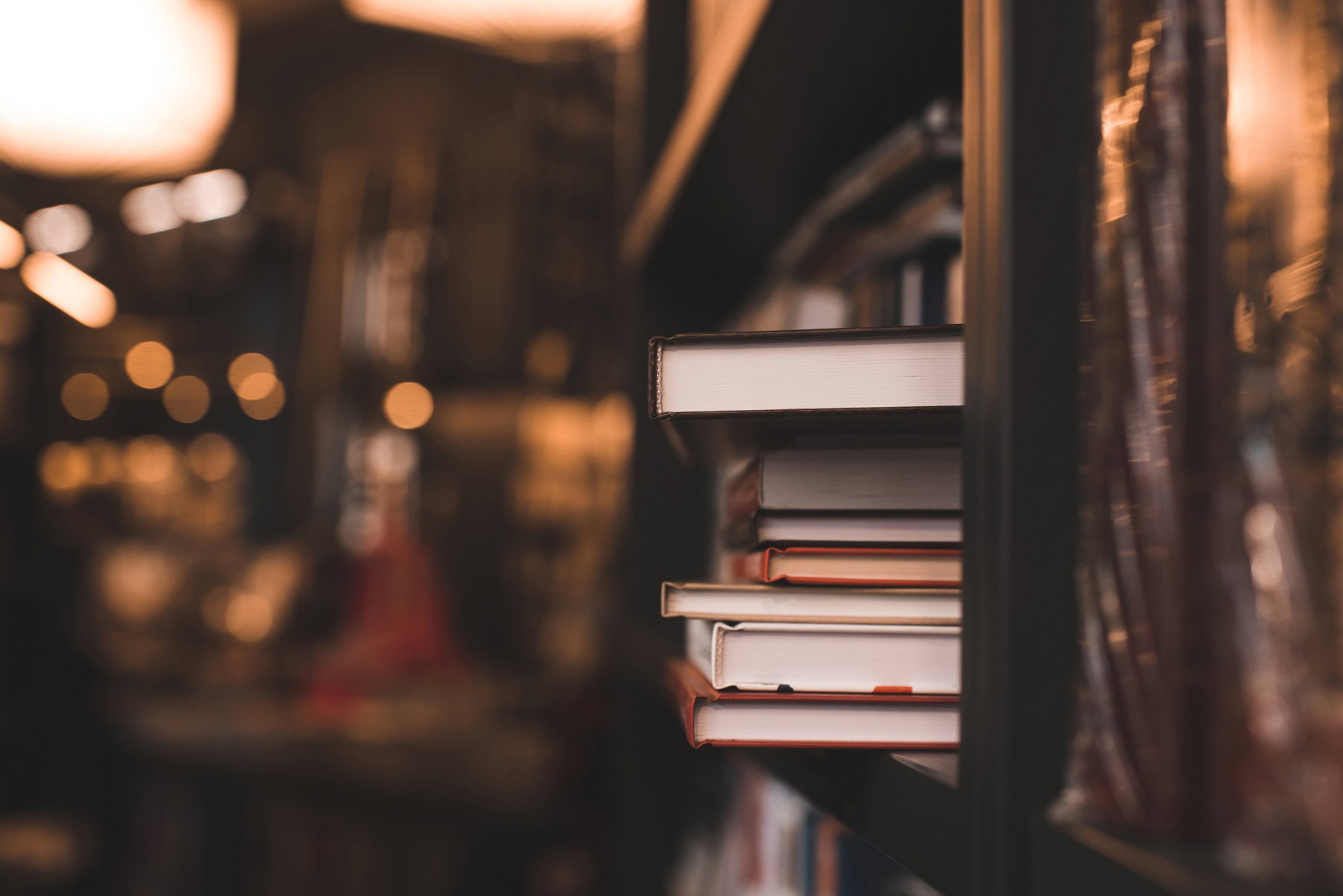 Obcokrajowcy ocenili polską literaturę