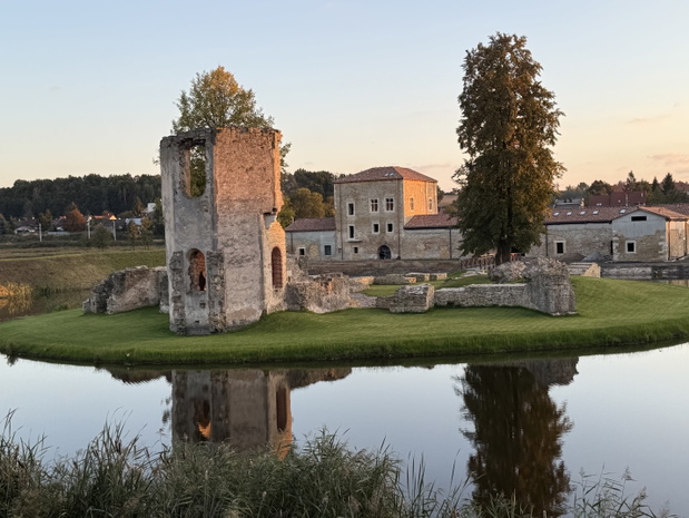 Zamek Ćmielów