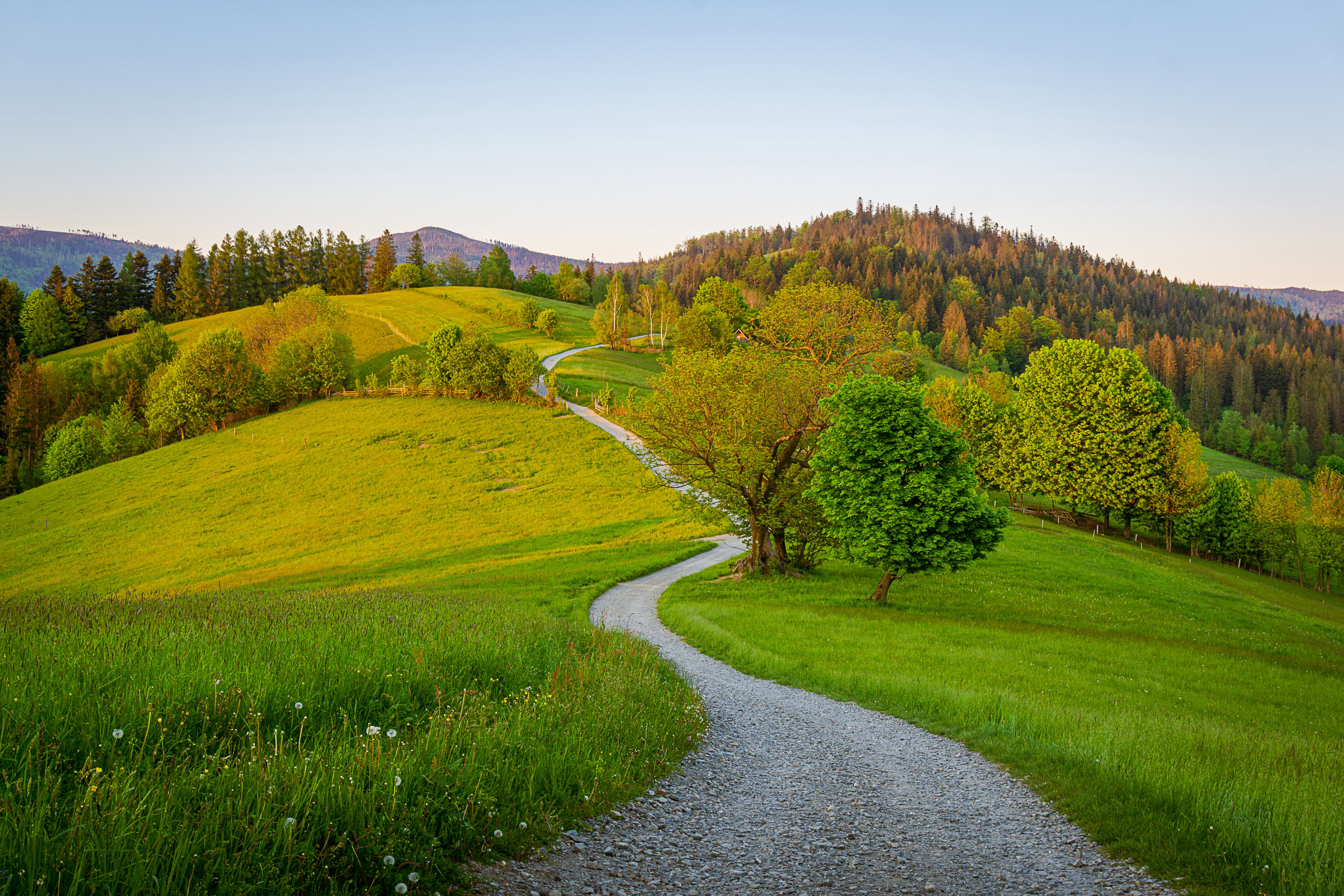 Kinder Country glówne