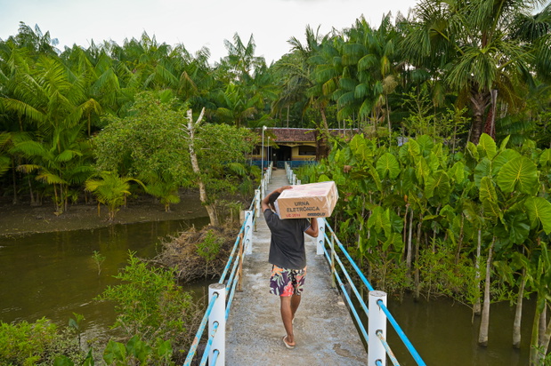 amazonia wybory