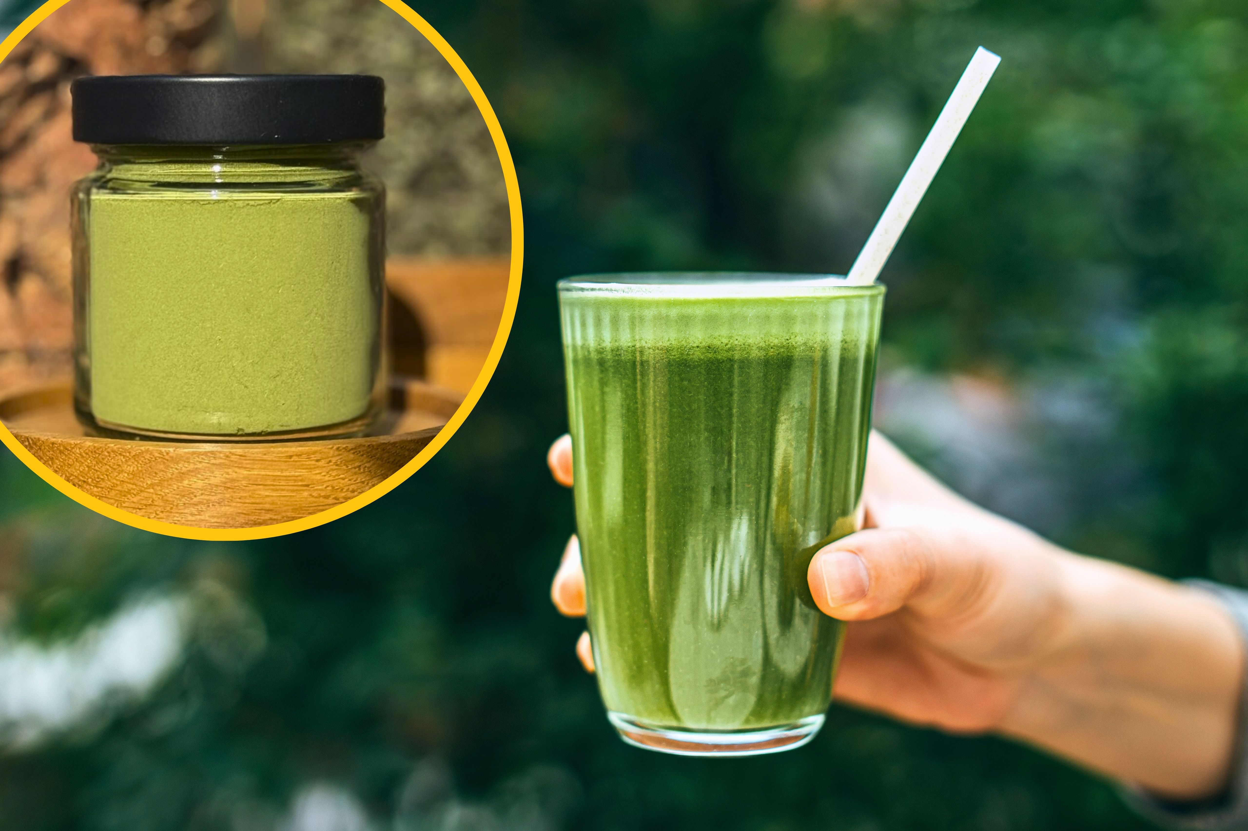 Matcha z Podlasia