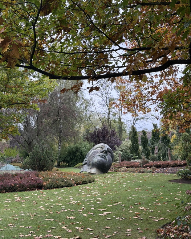 Aflopark