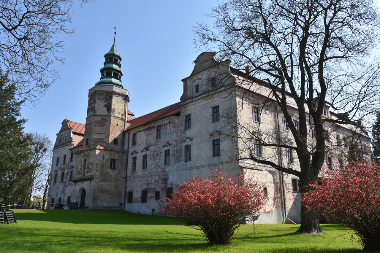 Zamek Książęcy w Niemodlinie