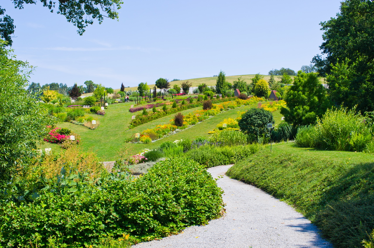 Arboretum Wojsławice