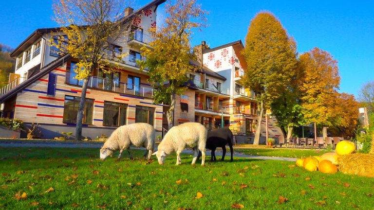 Hotel Piwniczna