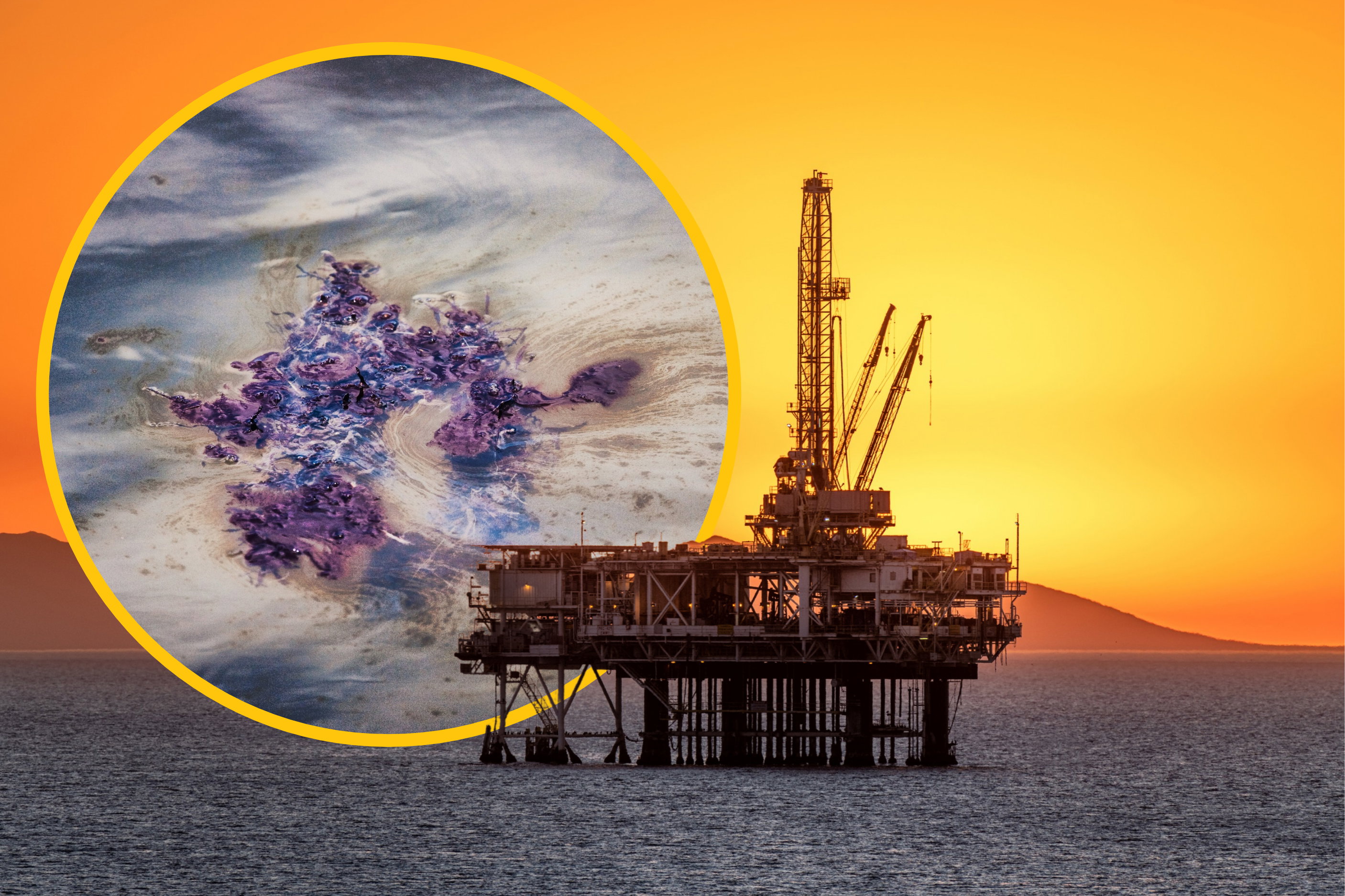 Katastrofa na platformie BP zniszczyła ocean. Z Zatoki Meksykańskiej zniknęło ponad 60% życia